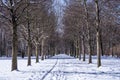 Alley in winter