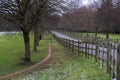 Alley and wooden fence in Cranford Park on an overcast day Royalty Free Stock Photo