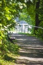 Alley in the woods