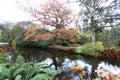 Alley with yellow and red leaves in autumn in Wicklow Ireland