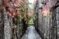 Scenery of alleys in the ancient water town. Royalty Free Stock Photo