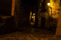 Alleys and streets of Italy in the night