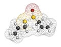 Allicin garlic molecule. Formed from alliin by the enzyme alliinase. Believed to have a number of positive health effects. Atoms