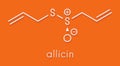 Allicin garlic molecule. Formed from alliin by the enzyme alliinase. Believed to have a number of positive health effects.