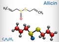 Allicin, sulfoxide molecule. This compound exhibits antibacterial and anti-fungal properties. Structural chemical formula and