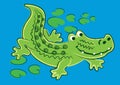 Alligator