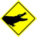 Alligator