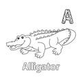 Alligator Alphabet ABC Coloring Page A