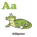 A for Alligator