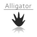 Alligator animal track