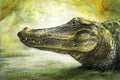 Alligator art in pastel