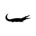 Alligator black sign icon. Vector illustration eps 10 Royalty Free Stock Photo