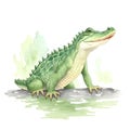 Alligator in cartoon style. Cute Little Cartoon Alligator isolated on white background. Watercolor drawing, hand-drawn Alligator Royalty Free Stock Photo