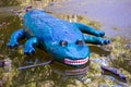 Alligator dummy that swims in a greenish forest lake . Crocodile plastique with white teeth and red tongue .