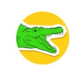 Alligator Open Mouth Vector Illustration Royalty Free Stock Photo