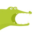 Alligator with open mouth Royalty Free Stock Photo