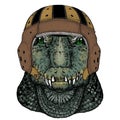 Alligator. Portrait of african animal. Rugby leather helmet. Royalty Free Stock Photo