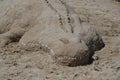 Alligator Sand Castle on a beach