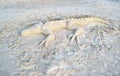 Alligator Sand Sculpture