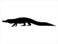 Alligator silhouette vector art white background