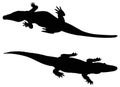 Alligator silhouette collection Royalty Free Stock Photo