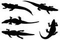 Alligator silhouette collection Royalty Free Stock Photo