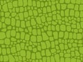 Alligator skin texture. Seamless crocodile pattern, green reptile and wild tropical animal lether vector background