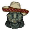 Alligator. Sombrero mexican hat. Portrait of african agressive animal.