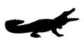 Alligator vector illustration black silhouette