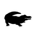 Alligator vector silhouette Royalty Free Stock Photo