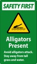 Alligator Warning Sign, Danger - Alligators Present Avoid Attack, Stay Away From Tall Grass And Water