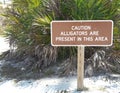 Alligator Warning Sign in Florida Royalty Free Stock Photo