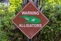 Alligator warning sign - Tampa, Florida, USA