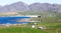 Close up - Allihies & Ballydonegan Bay, Beara Peninisula County Cork Ireland. Royalty Free Stock Photo