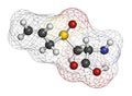 Alliin garlic molecule. Atoms are represented as spheres with conventional color coding: hydrogen (white), carbon (grey), oxygen (