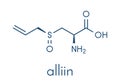 Alliin garlic molecule. Skeletal formula.