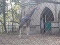 Allipur Zoo In Kolkata West bangal