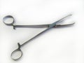 An Allis clamp also called the Allis forceps is a commonly used surgical instrument. Royalty Free Stock Photo