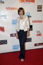 Allison Janney on the red carpet. Royalty Free Stock Photo