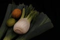 Allium ampeloprasum Vegetable Leek still life Royalty Free Stock Photo