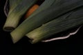 Allium ampeloprasum Vegetable Leek still life Royalty Free Stock Photo