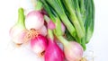 Allium cepa bulb onion with green leaves Royalty Free Stock Photo