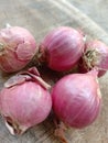 Allium cepa L. var. aggregatum or shallots are used for cooking spices and herbal medicine Royalty Free Stock Photo