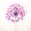 allium flower on white background. beautiful watercolour style illustration Royalty Free Stock Photo