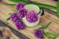 Allium flowers bouquet in a stylish metal decorative vase. Shallow depth of field Royalty Free Stock Photo