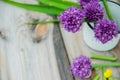 Allium flowers bouquet in a stylish metal decorative vase. Shallow depth of field Royalty Free Stock Photo