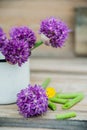 Allium flowers bouquet in a stylish metal decorative vase. Shallow depth of field Royalty Free Stock Photo