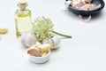 Allium sativum - Whole and minced garlic accompanied by garlic oil Royalty Free Stock Photo