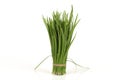 Allium tuberosum Rottl. Ex Spreng. Royalty Free Stock Photo