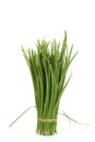 Allium tuberosum Rottl. Ex Spreng. Royalty Free Stock Photo